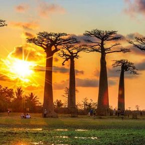 Мадагаскар и Мавриций - Едно вълнуващо пътешествие до двата екзотични острова през от София - 2026