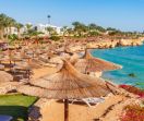 All Inclusive Почивка в Шарм ел Шейх - есен  2025 - полет от София