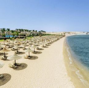 Jaz Sharks Bay Superior