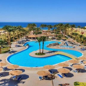 Palm Beach Resort Standard