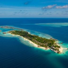 OZEN RESERVE BOLIFUSHI