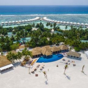 CINNAMON HAKURAA HURAA