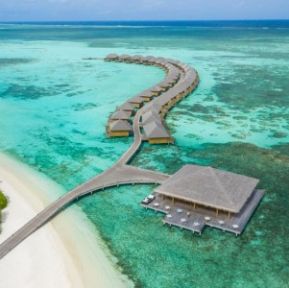 COCOON MALDIVES