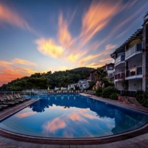 TROPICAL SUITES BY SERTIL