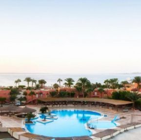 EAGLE PARADISE ABU SOMA