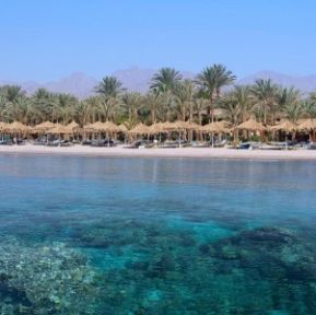 JAZ SHARM DREAMS RESORT